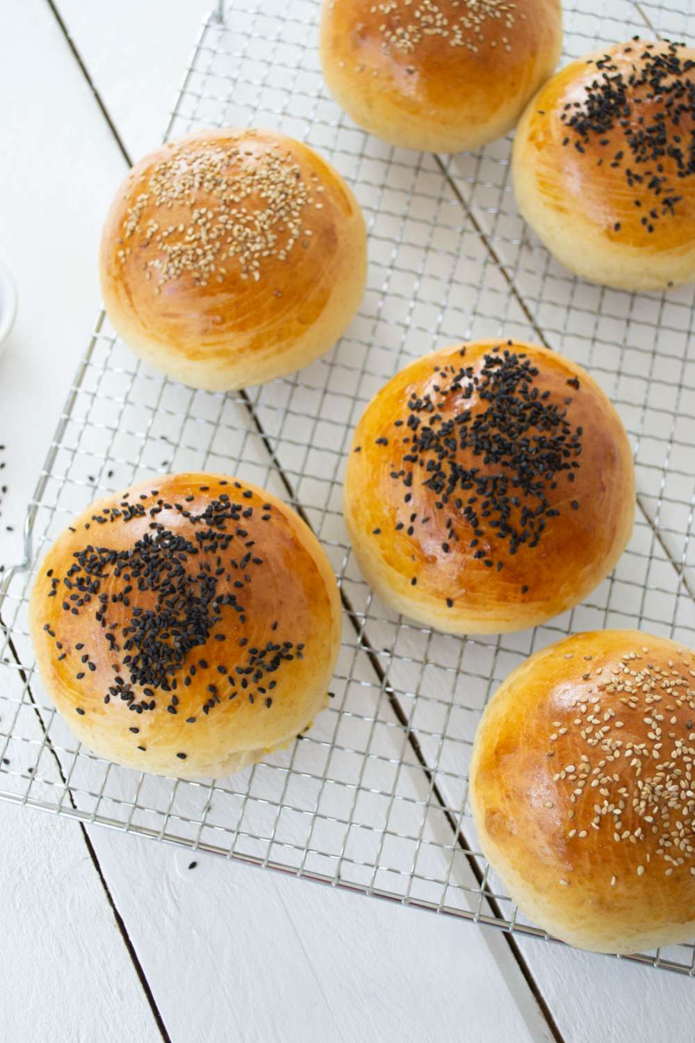 Burger Buns Dinkel Vollkorn